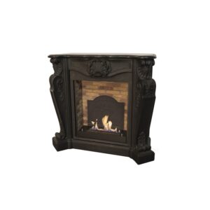 XARALYN Louis & Medallion Stone Indoor fireplaces